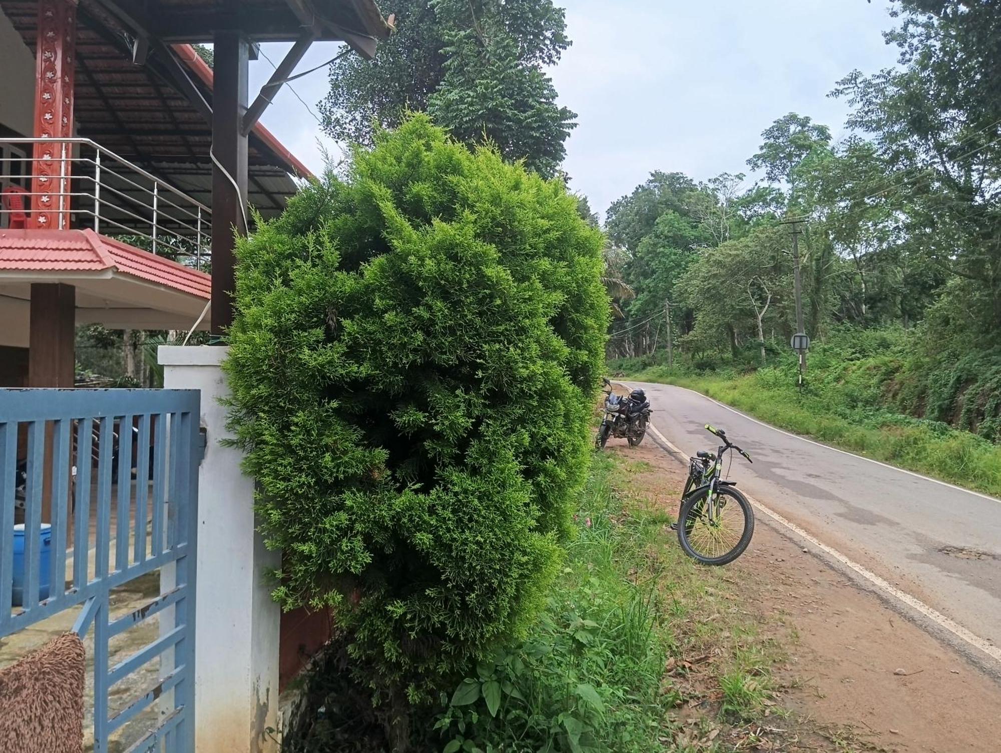 Villa Elephant Path Coorg 3Bhk Suntikoppa Exterior foto